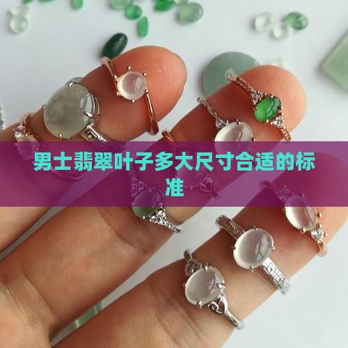 男士翡翠叶子多大尺寸合适