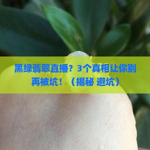 黑绿翡翠直播