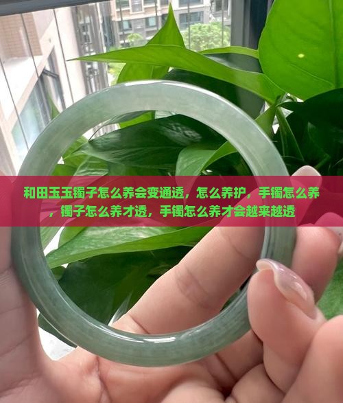 和田玉玉镯子怎么养