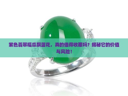紫色翡翠福瓜飘蓝花