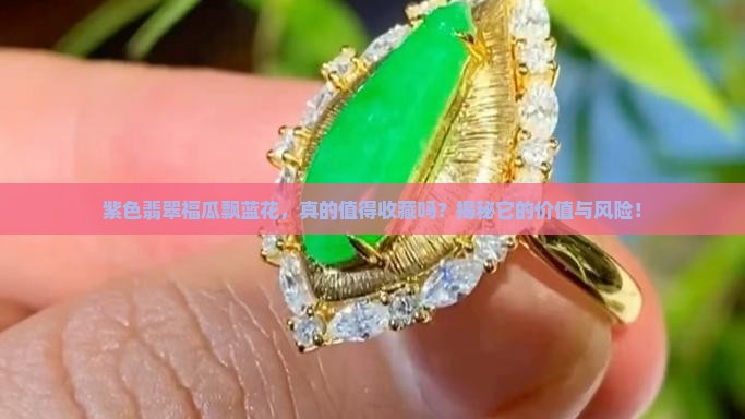 紫色翡翠福瓜飘蓝花