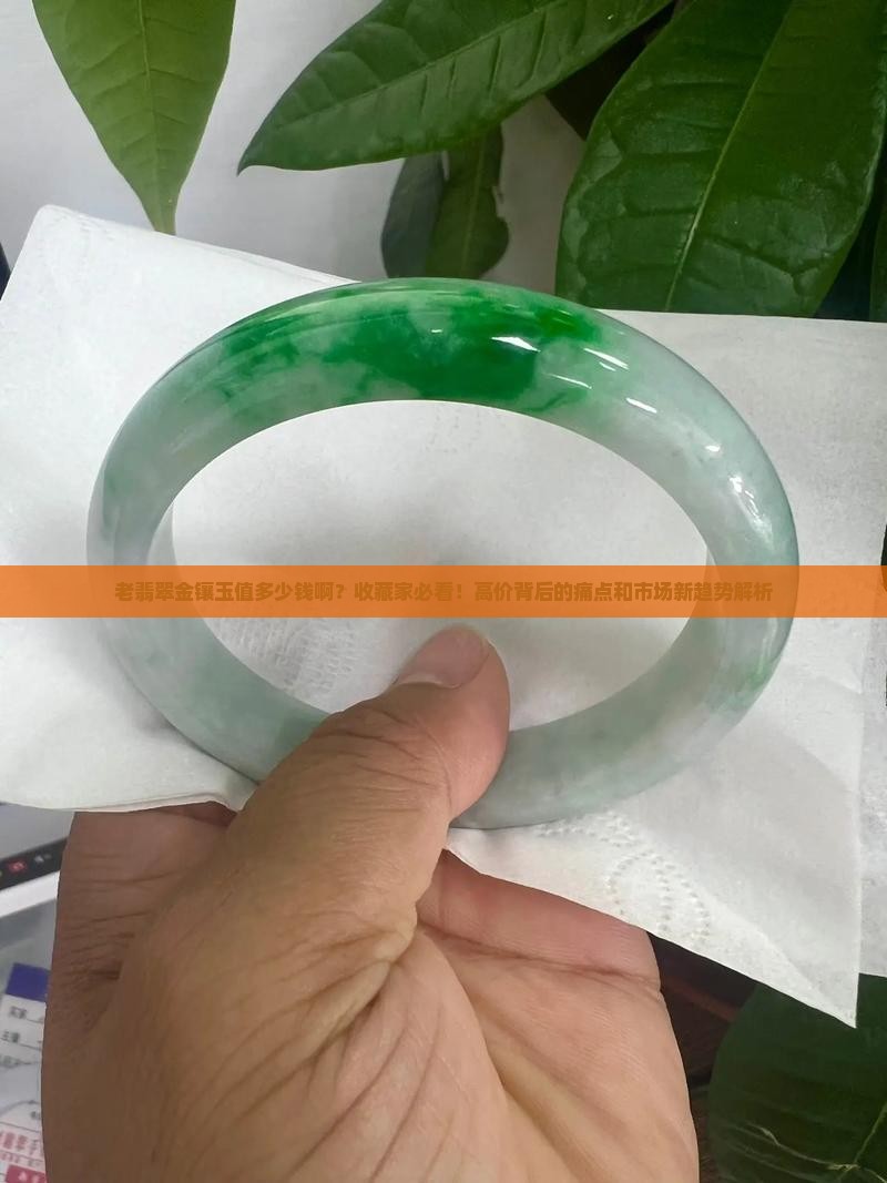 老翡翠金镶玉值多少钱啊