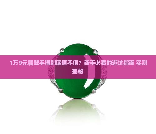 1万9元翡翠手镯值钱吗