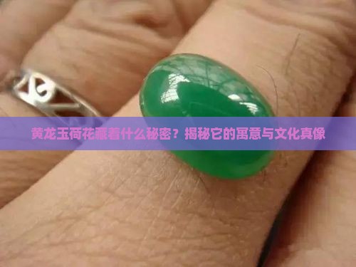 黄龙玉荷花的寓意是什么