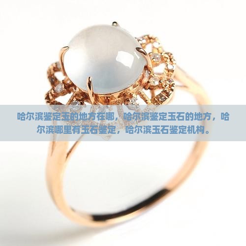 哈尔滨鉴定玉的地方在哪