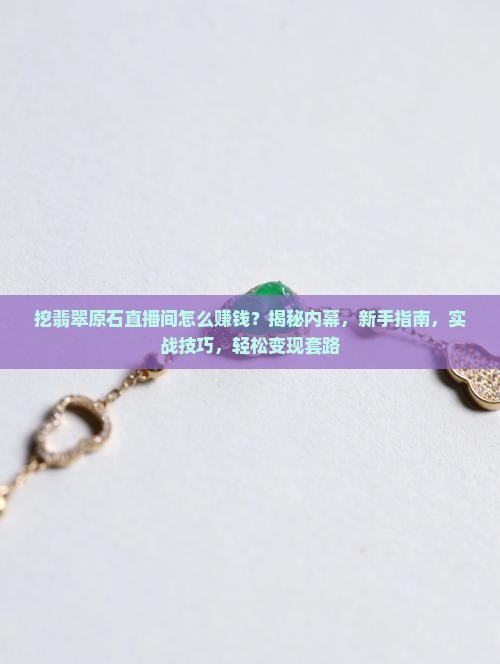 挖翡翠原石直播间怎么赚钱