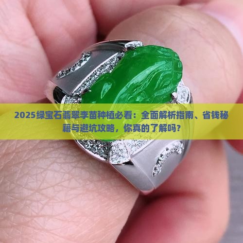 绿宝石翡翠李苗