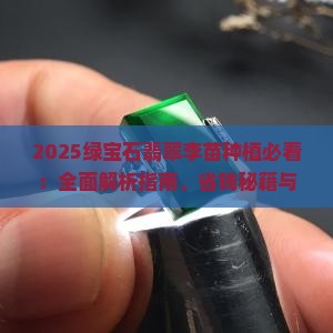 绿宝石翡翠李苗