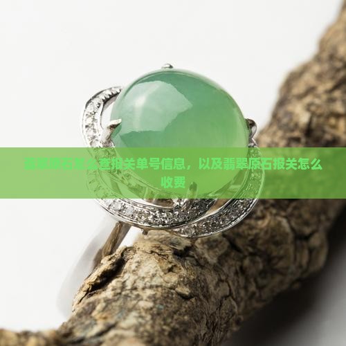 翡翠原石怎么查报关单号信息
