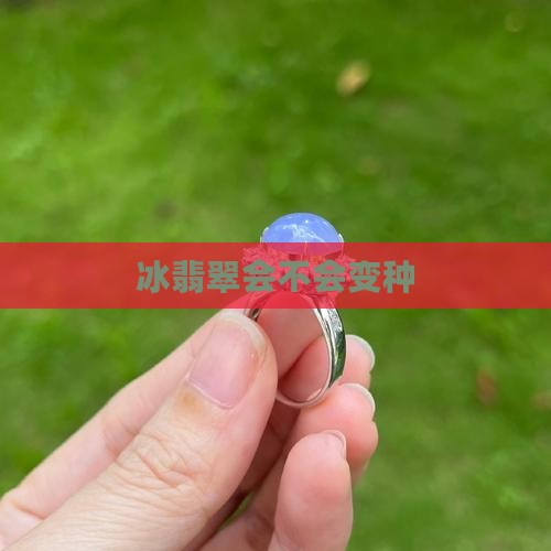 冰翡翠会不会变种