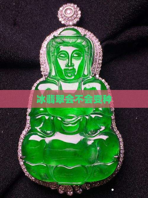 冰翡翠会不会变种