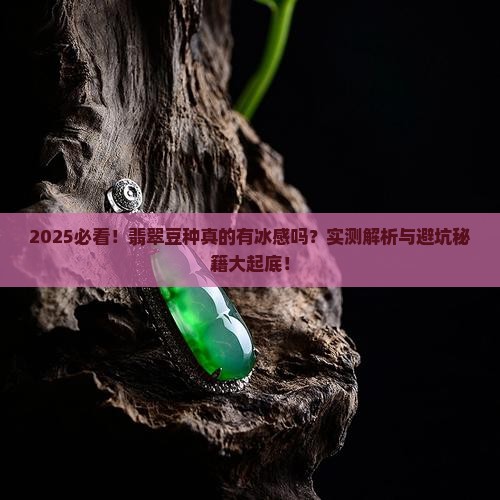 翡翠豆种会有冰感吗