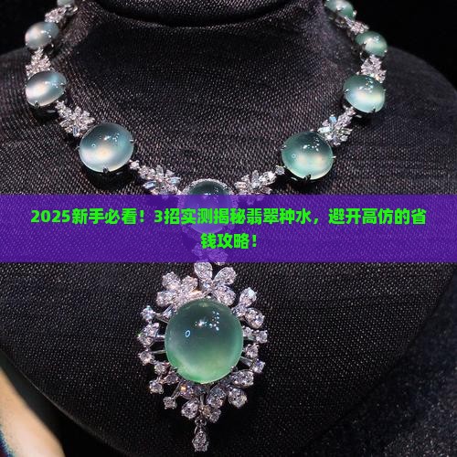 怎么样辨别翡翠的种