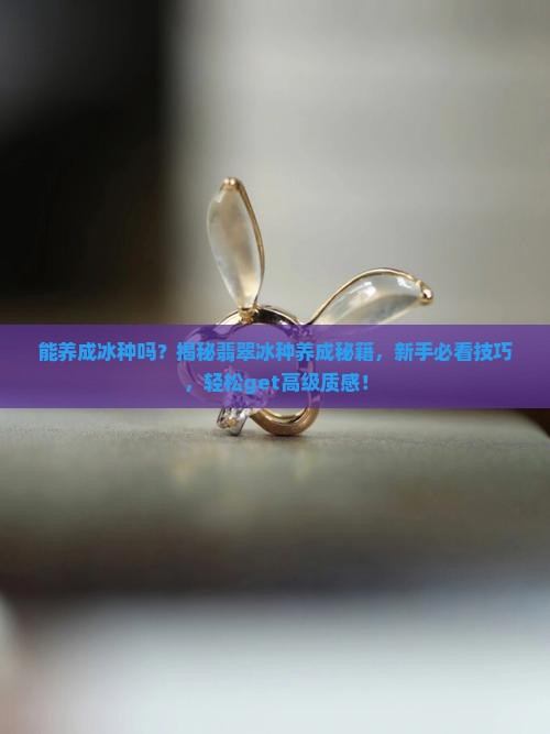 能养成冰种吗
