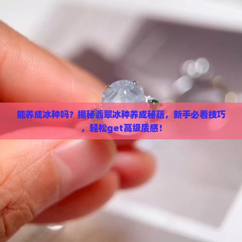 能养成冰种吗