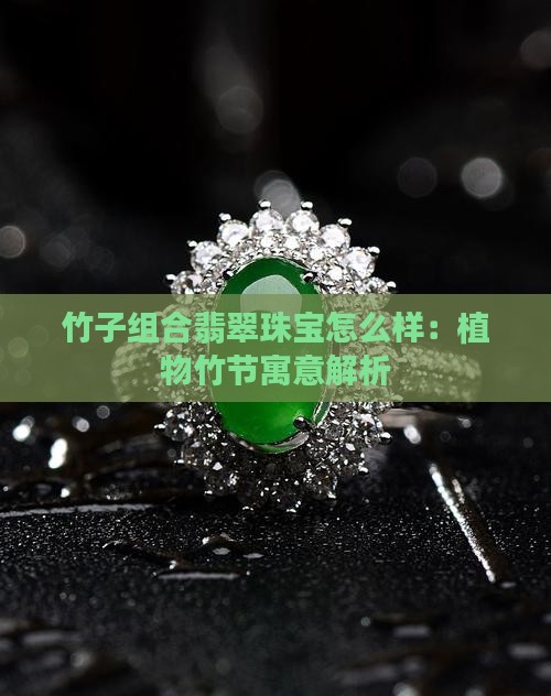 竹子组合翡翠珠宝怎么样