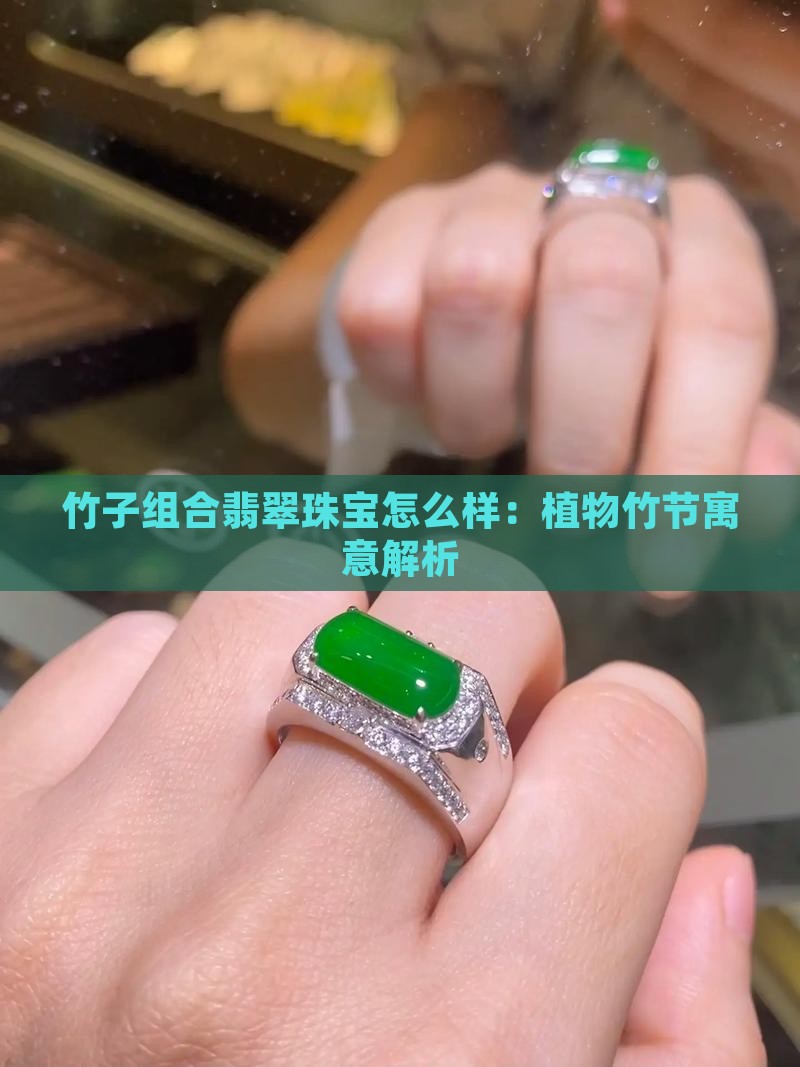 竹子组合翡翠珠宝怎么样
