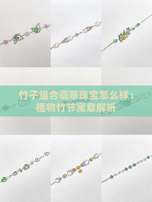 竹子组合翡翠珠宝怎么样