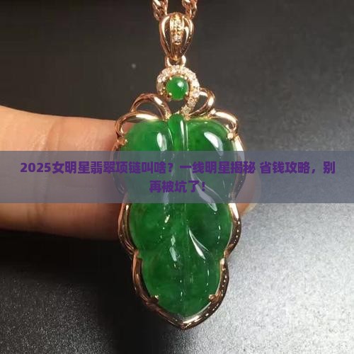 女明星的翡翠项链叫什么