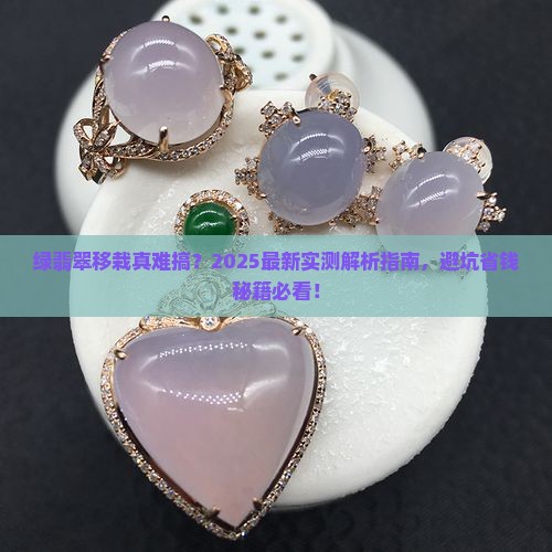 绿翡翠可以移栽吗