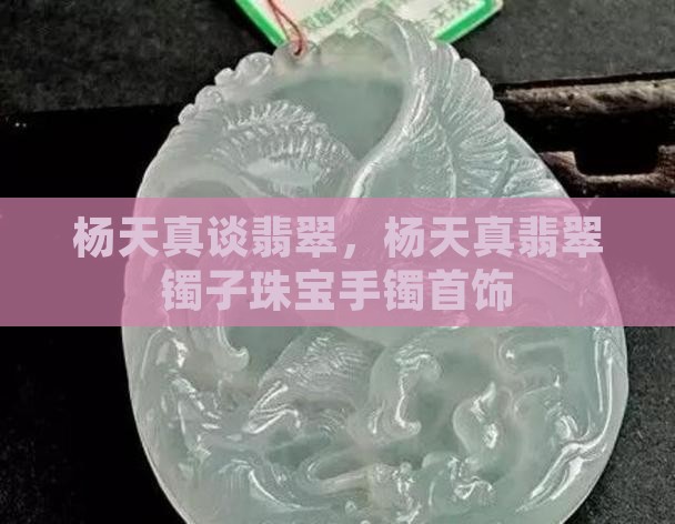 杨天真谈翡翠