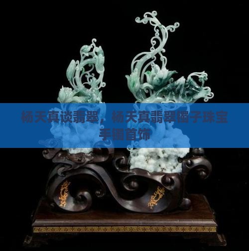 杨天真谈翡翠