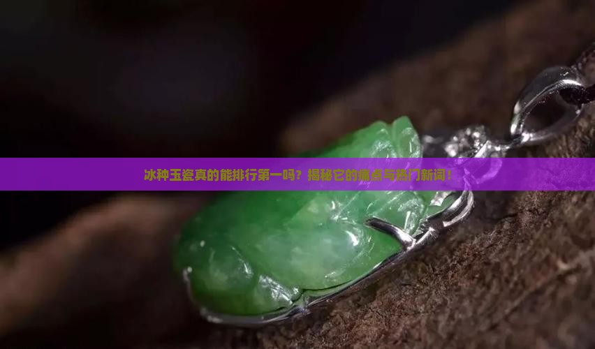 冰种玉瓷排行第一