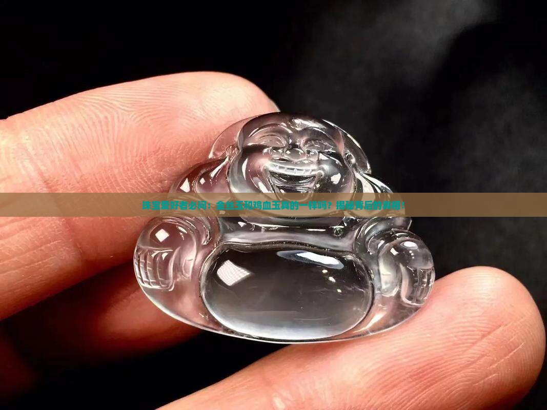 珠宝爱好者必问：金丝玉和鸡血玉真的一样吗？揭秘背后的真相！