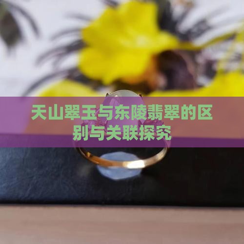 天山翠玉与东陵翡翠的区别与关联探究