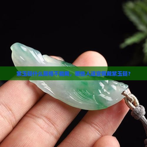 紫玉髓什么属相不能戴，哪些人适宜佩戴紫玉髓？