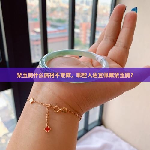 紫玉髓什么属相不能戴，哪些人适宜佩戴紫玉髓？