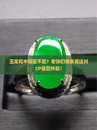 玉龙和木链配不配？老铁们快来看这对CP是否炸裂！