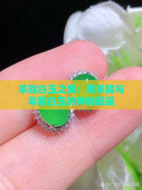 羊脂白玉之美：黑羊脂与羊脂白玉的神秘邂逅