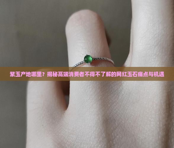 紫玉产地哪里？揭秘高端消费者不得不了解的网红玉石痛点与机遇