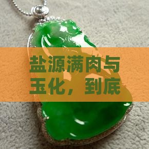 盐源满肉与玉化，到底哪种更让人心动？