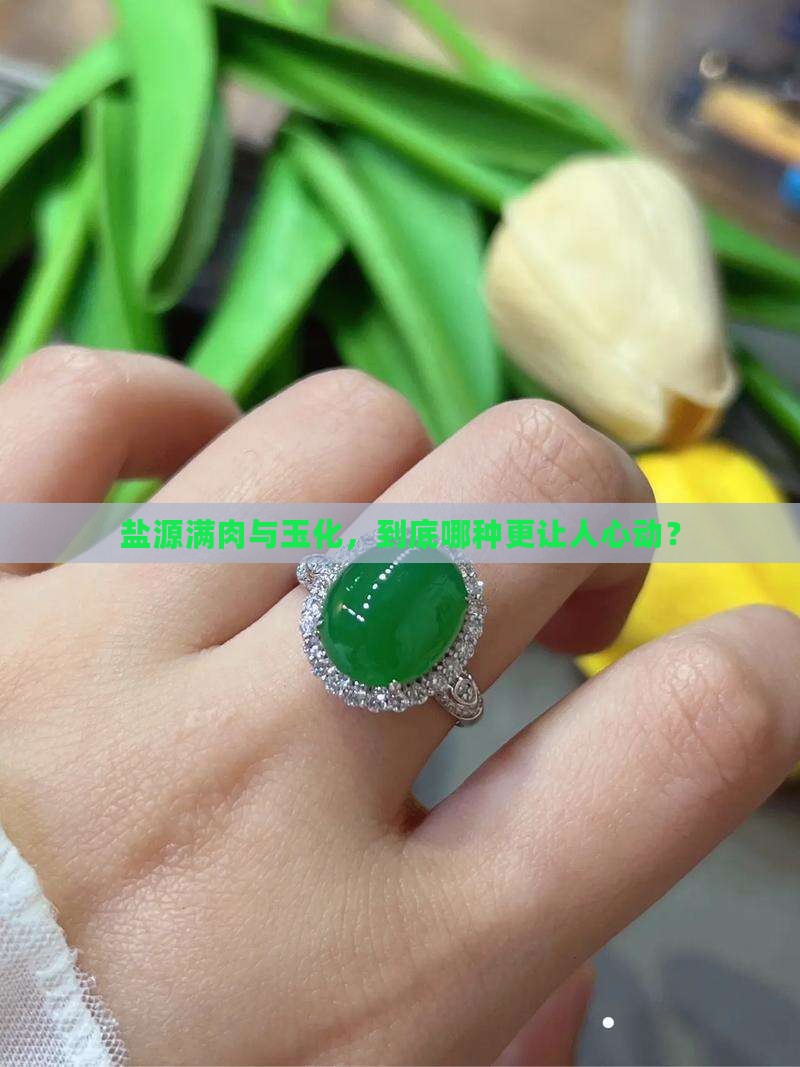 盐源满肉与玉化，到底哪种更让人心动？