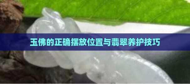 玉佛的正确摆放位置与翡翠养护技巧