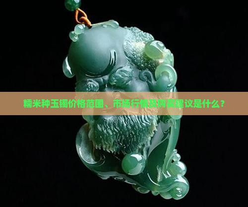 糯米种玉镯价格范围、市场行情及购买建议是什么？