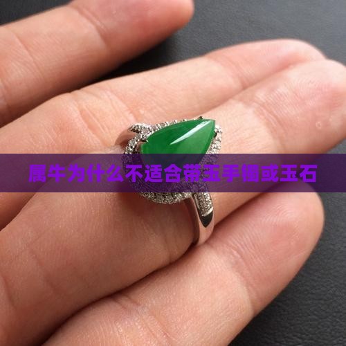 属牛为什么不适合带玉手镯或玉石
