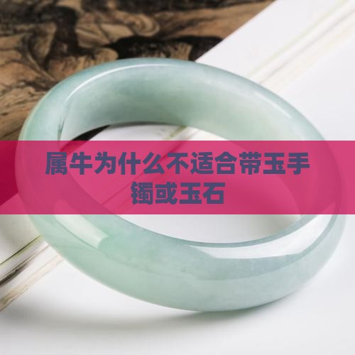属牛为什么不适合带玉手镯或玉石