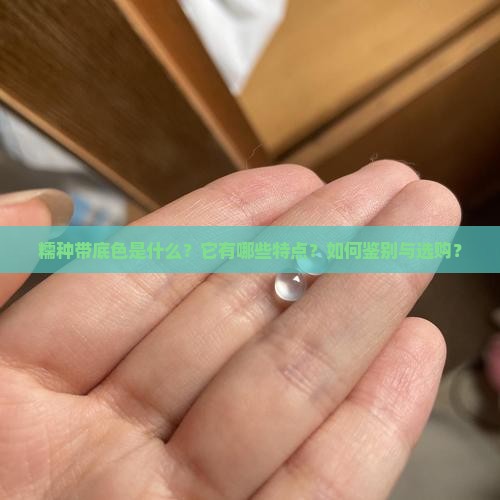 糯种带底色是什么？它有哪些特点？如何鉴别与选购？