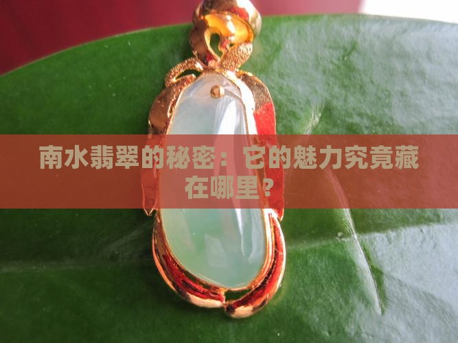 南水翡翠的秘密：它的魅力究竟藏在哪里？