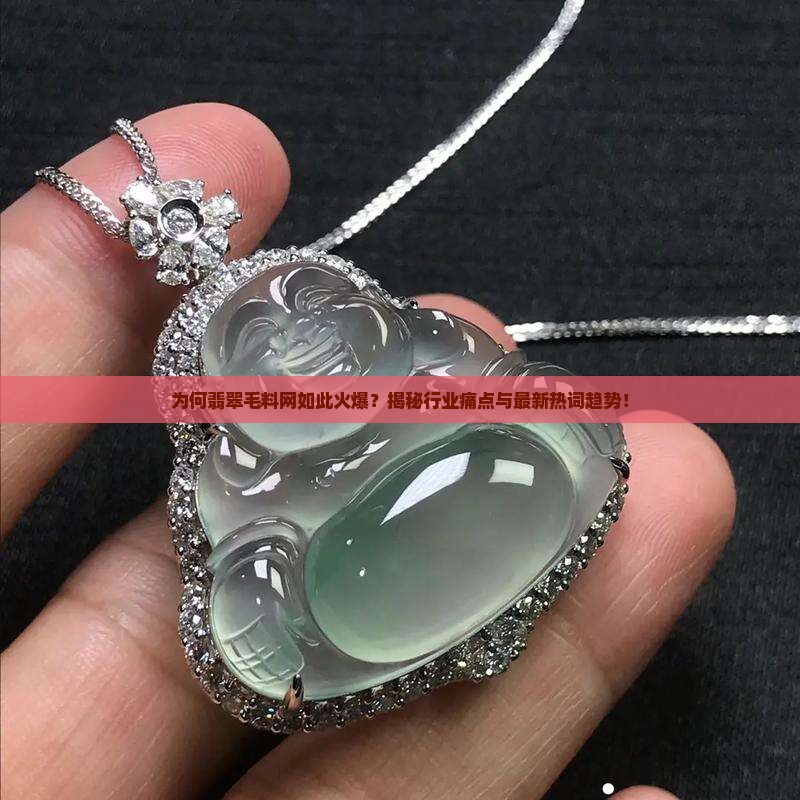 为何翡翠毛料网如此火爆？揭秘行业痛点与最新热词趋势！