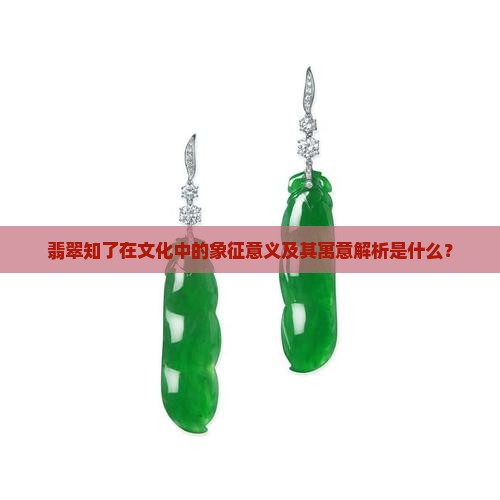 翡翠知了在文化中的象征意义及其寓意解析是什么？