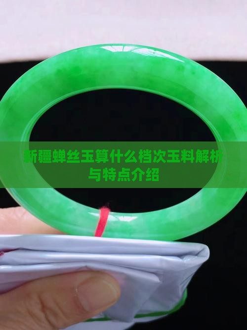 新疆蝉丝玉算什么档次玉料解析与特点介绍