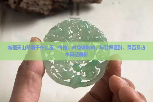 新疆天山翠属于什么玉、价格、对身体影响、与翡翠区别、贵否及沾水问题解析