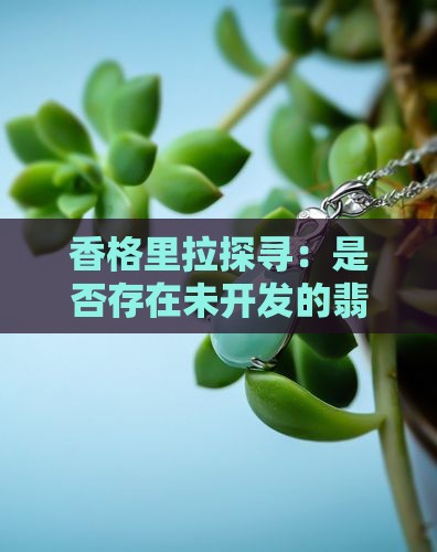 香格里拉探寻：是否存在未开发的翡翠原石？