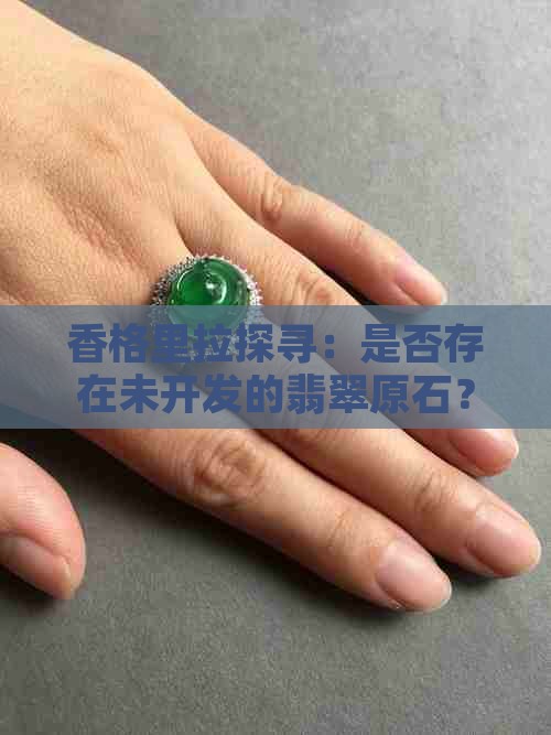香格里拉探寻：是否存在未开发的翡翠原石？