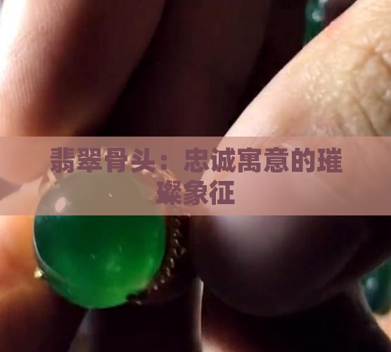 翡翠骨头：忠诚寓意的璀璨象征