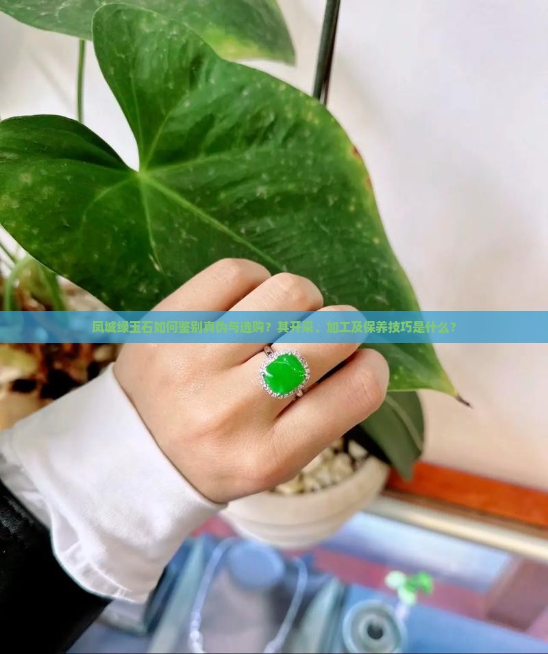 凤城绿玉石如何鉴别真伪与选购？其开采、加工及保养技巧是什么？